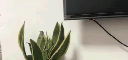 单身异性拼房风险 登记漏洞与反偷拍指南